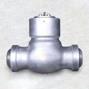 Pressure Seal Swing Check Valve 1